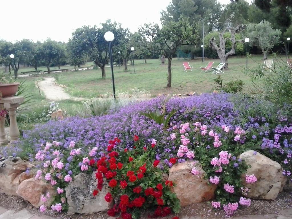 Agriturismo Santa Chiara Алецио Екстериор снимка